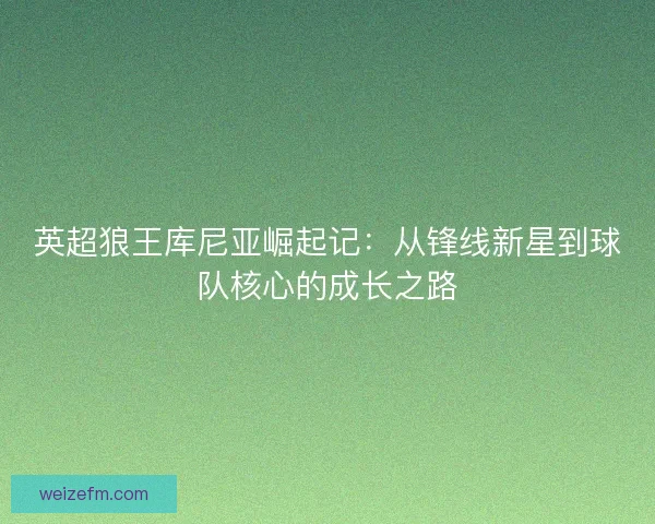 英超狼王库尼亚崛起记：从锋线新星到球队核心的成长之路