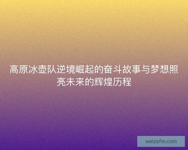 高原冰壶队逆境崛起的奋斗故事与梦想照亮未来的辉煌历程